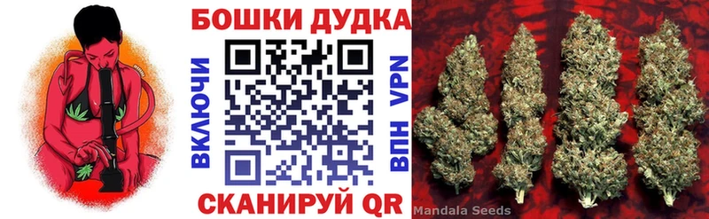 как найти закладки Звенигород МАРИХУАНА ГИДРОПОН